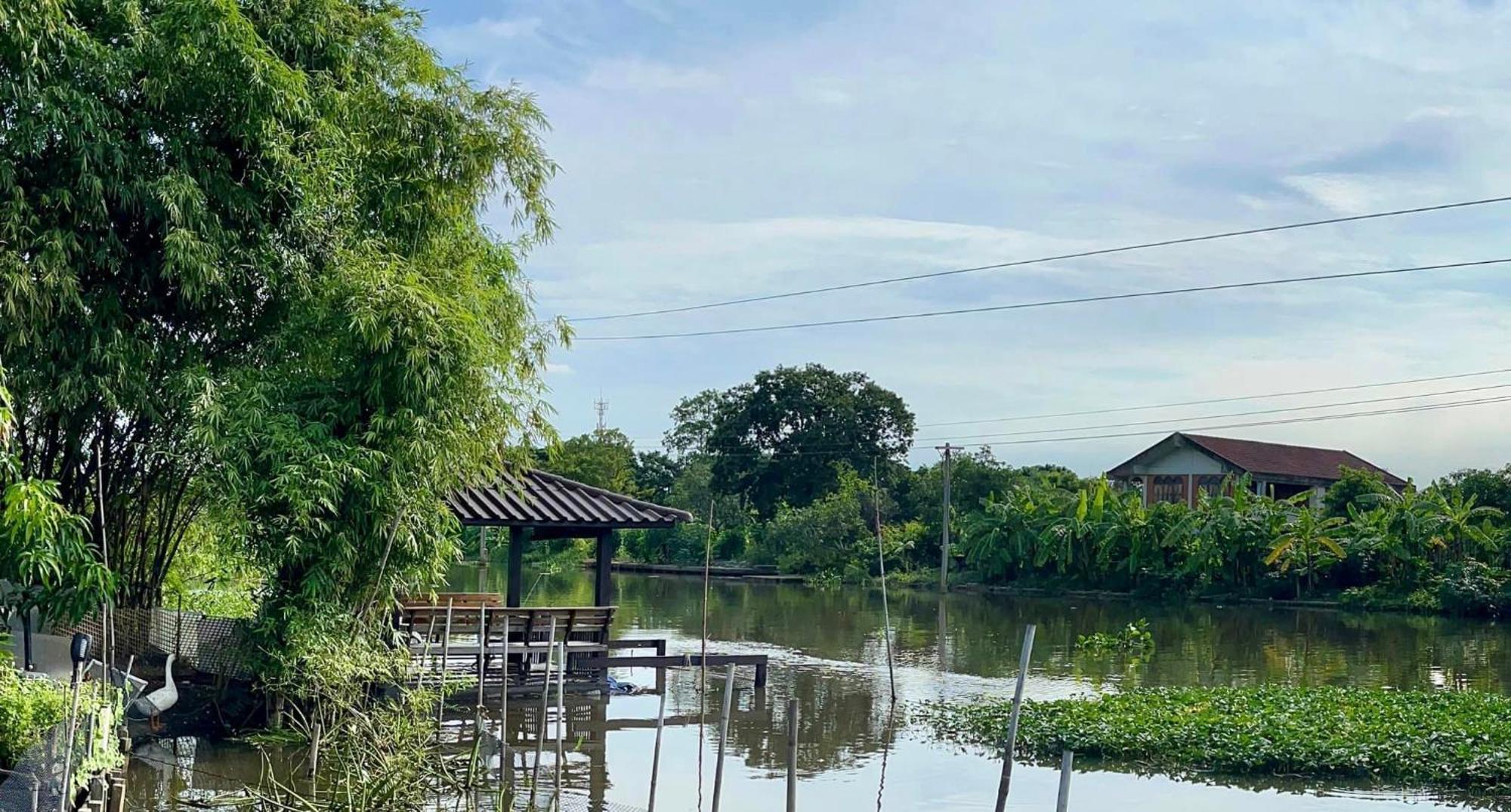 ホテル Croc Camp バンコク都 エクステリア 写真